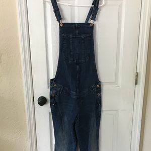 Maternity Overalls NWOT